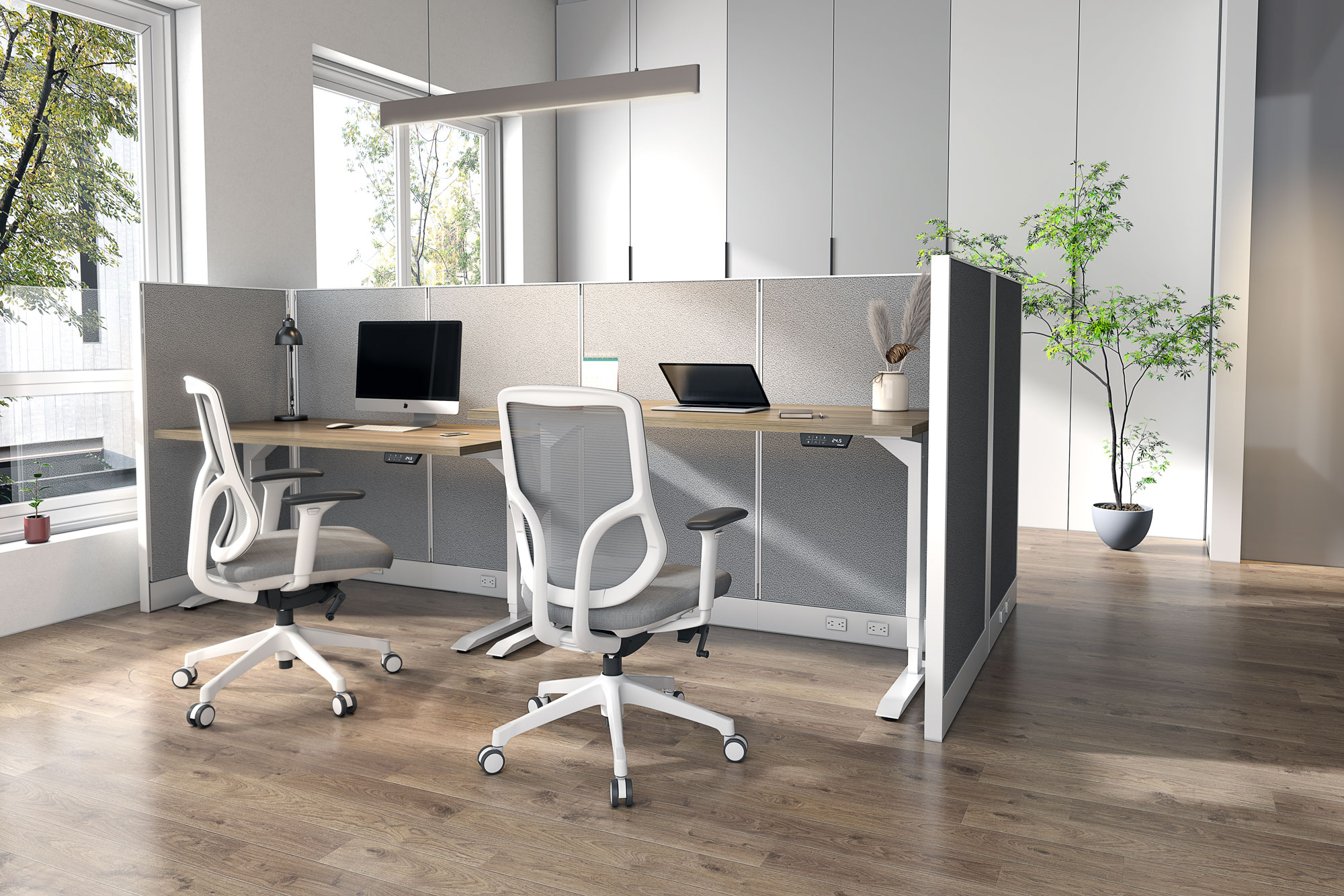shows tango placed in an office space